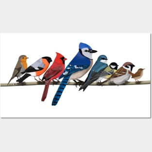 Colorful Garden Birds Bird Art Birdlover Birdwatcher Animal Posters and Art